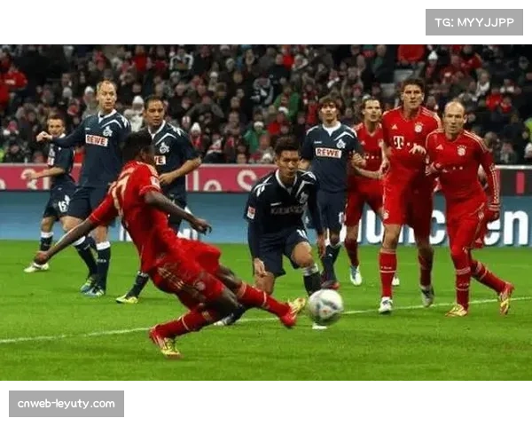 霍芬海姆冲欧势头正盛，主场迎战弗赖堡关键战前瞻